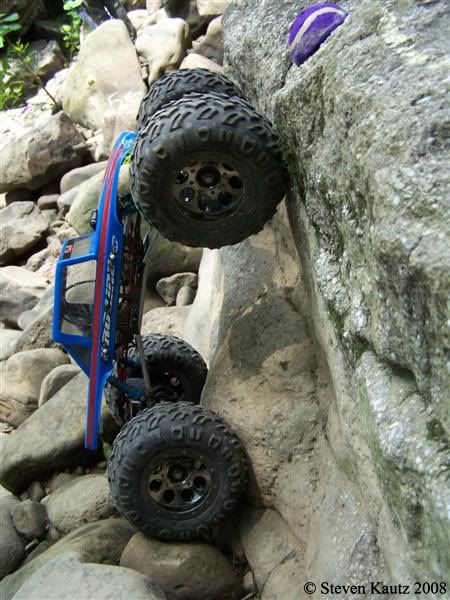 100_9932MediumWTMK.jpg