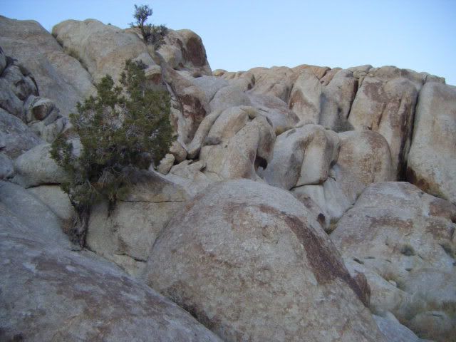 DSCF1332.jpg