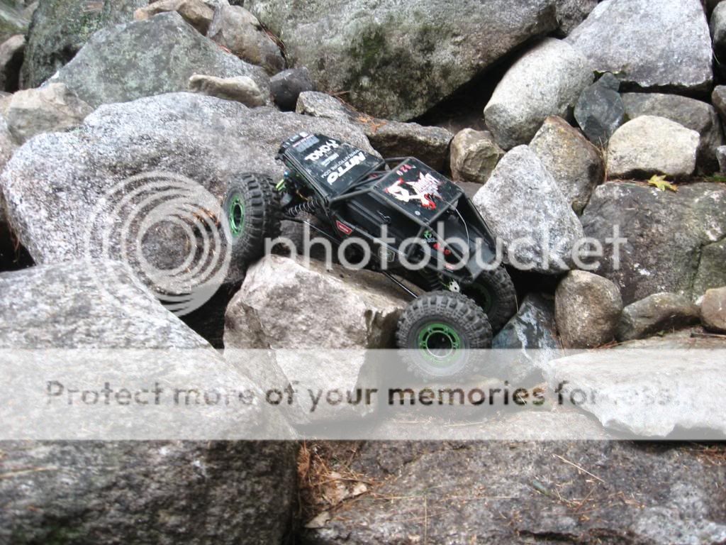 IMG_0019.jpg