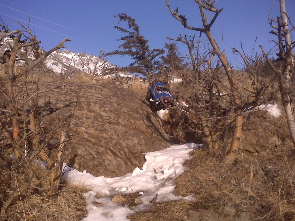 IMG00418.jpg