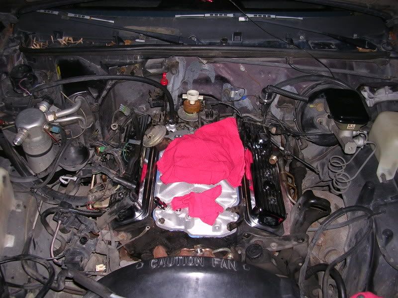 DSCN4246.jpg
