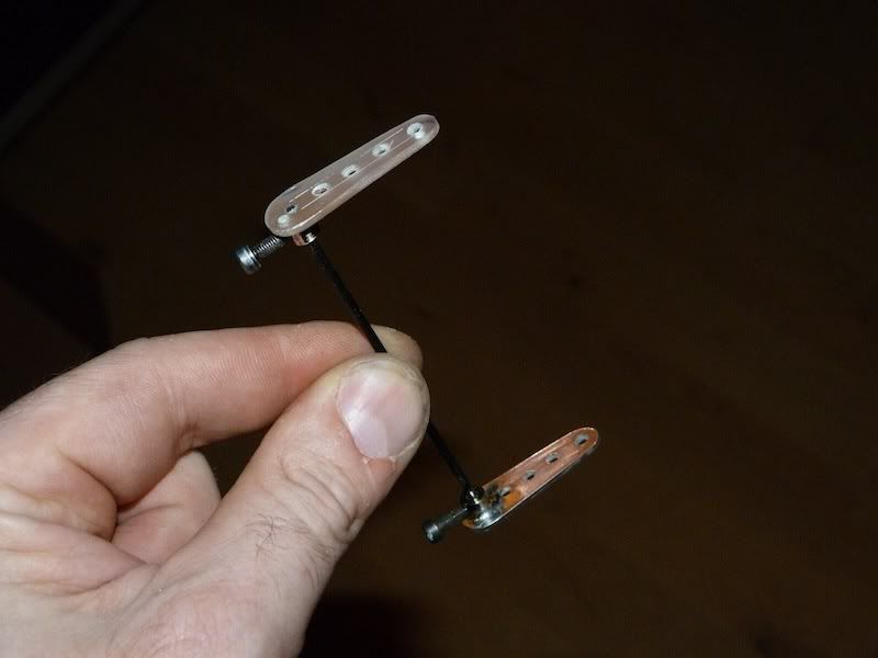 P1000155.jpg