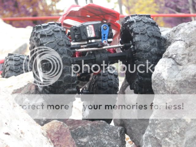 IMG_0131.jpg