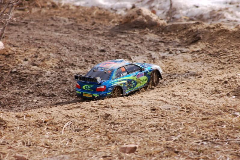DSC_4182.jpg