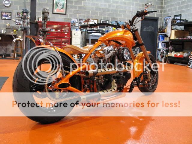 Newpics004.jpg