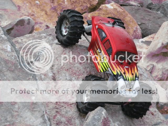 IMG_0129.jpg
