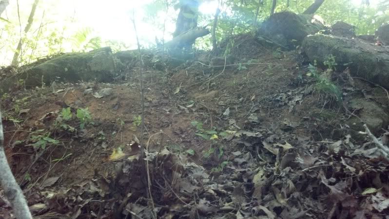 2012-06-26_18-15-17_229.jpg