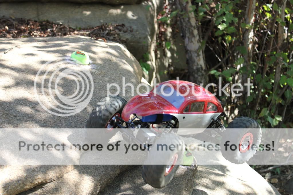 IMG_1686.jpg