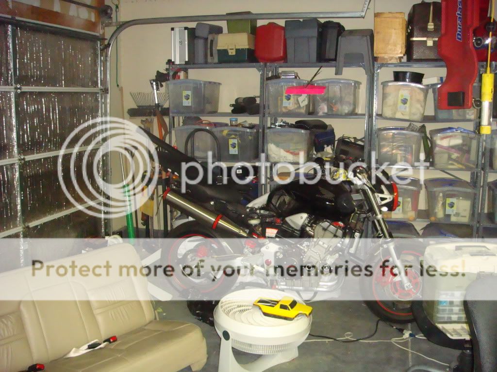 DSC00478.jpg