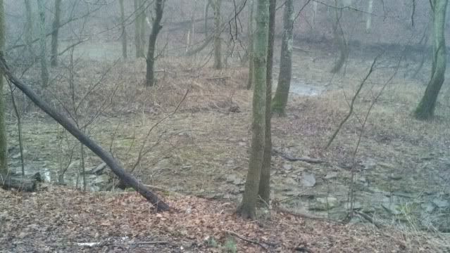 2013-01-12_17-14-22_546.jpg