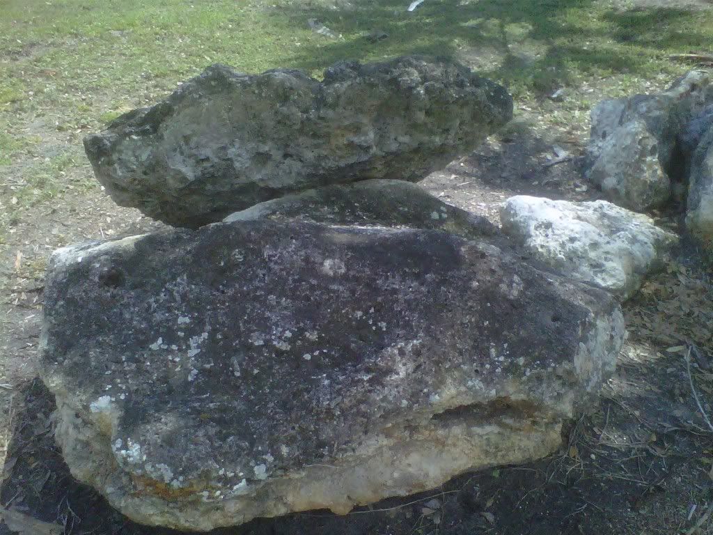 utf-8BSU1HMDAyNjEtMjAxMTA0MDctMTQzNS5qcGc.jpg
