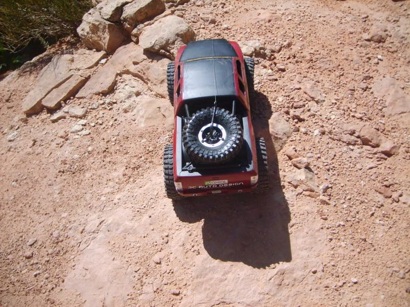 S5003850.jpg