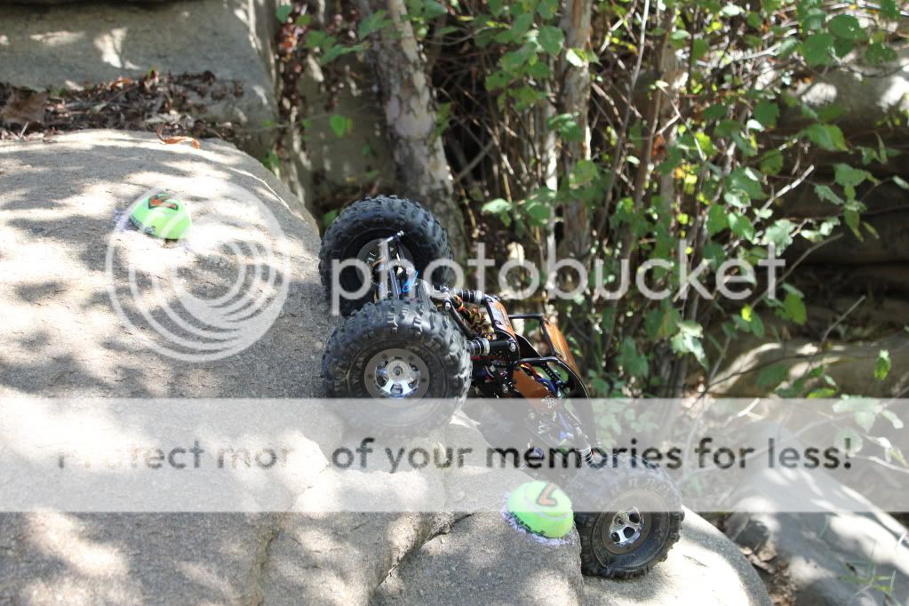 IMG_1674.jpg