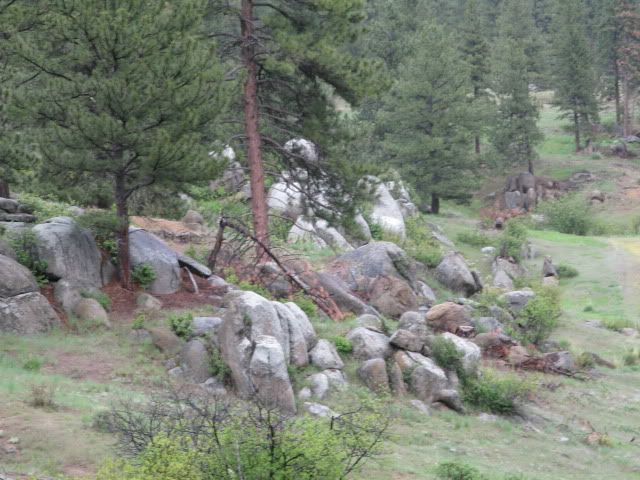 IMG_4350.jpg